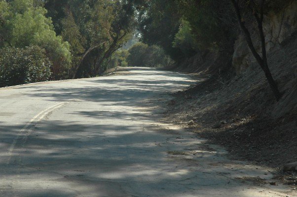 DSC 0280