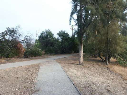 PICT0259