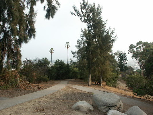 PICT0255