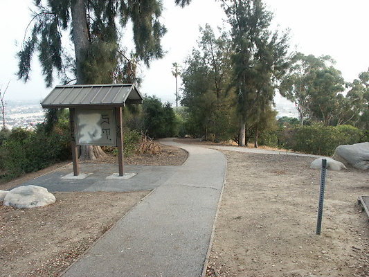 PICT0251
