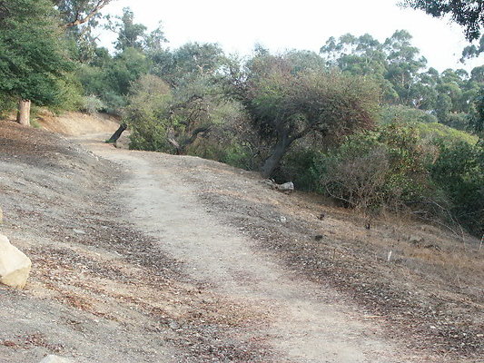 PICT0261