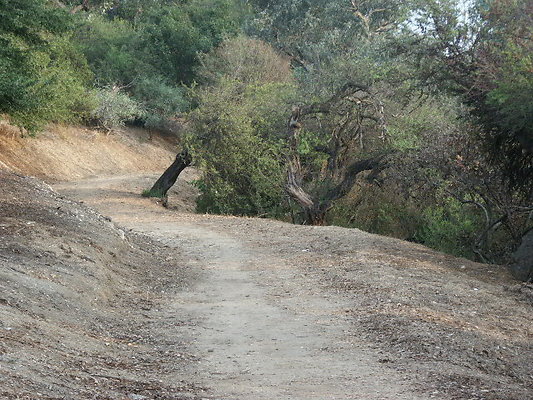 PICT0262