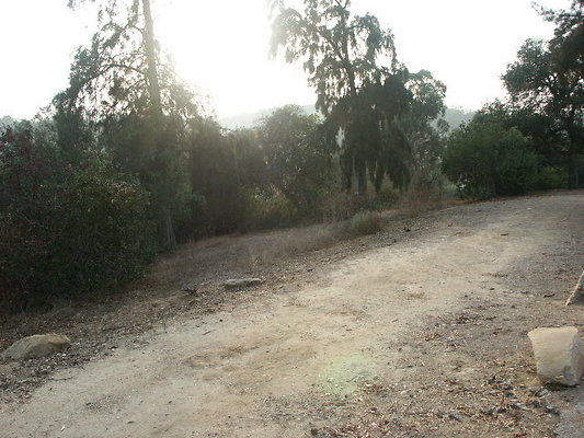 PICT0266