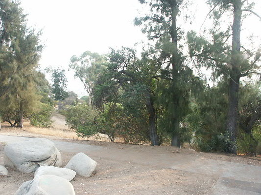 PICT0256