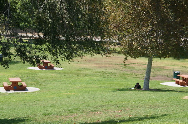 DSC09105