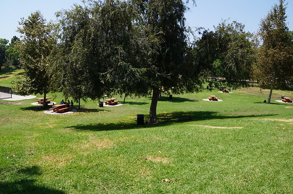 DSC09103