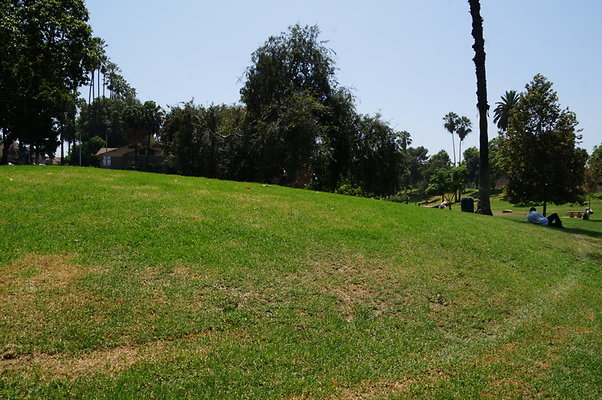 DSC09106