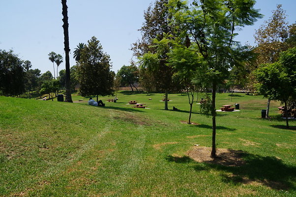 DSC09107