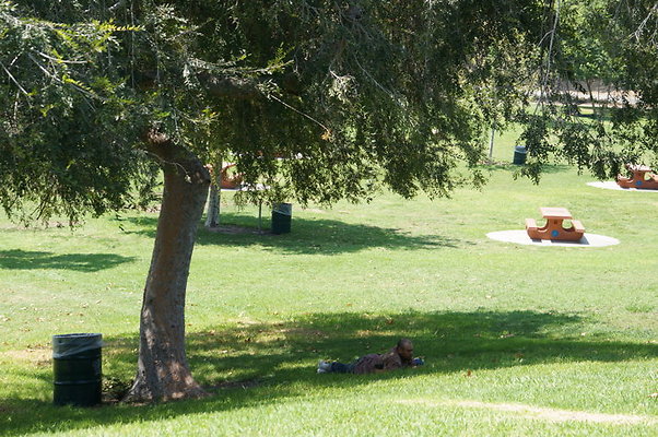 DSC09104