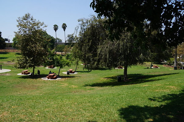 DSC09101