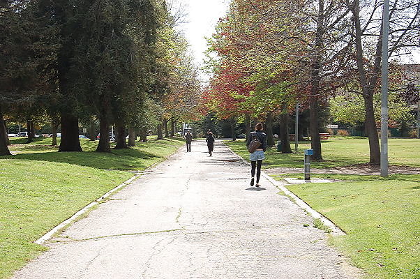 DSC 0159