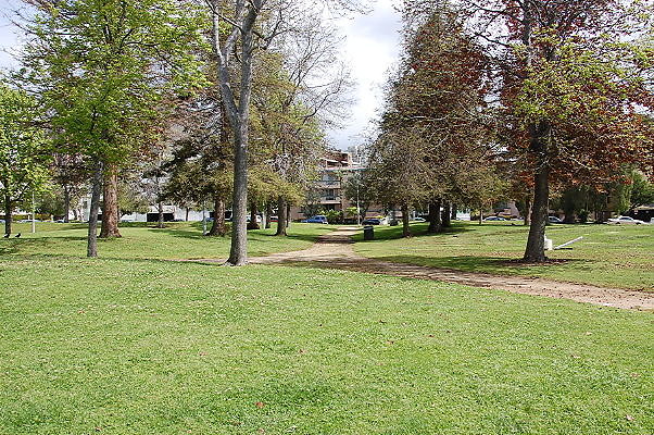 DSC 0161