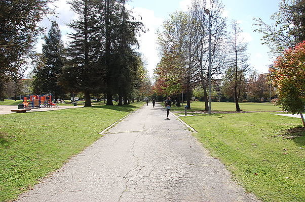 DSC 0158