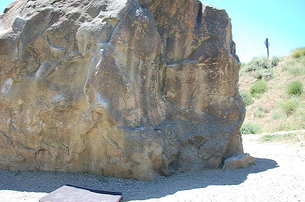 DSC 0039