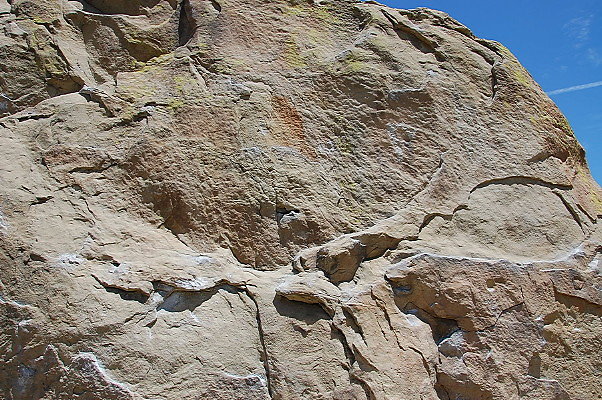 DSC 0031