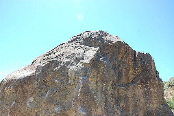 DSC 0040