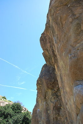 DSC 0037