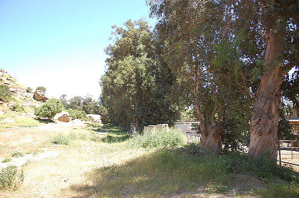 DSC 0013