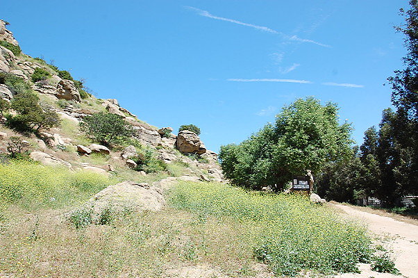 DSC 0045