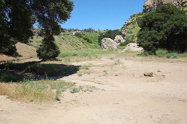 DSC 0014