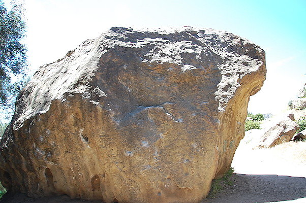DSC 0059