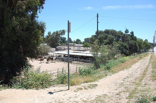 DSC 0003
