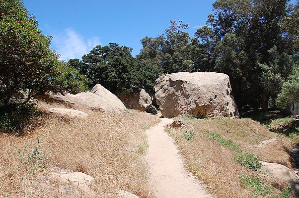 DSC 0053