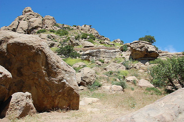 DSC 0050