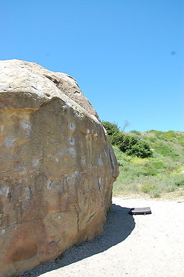 DSC 0042