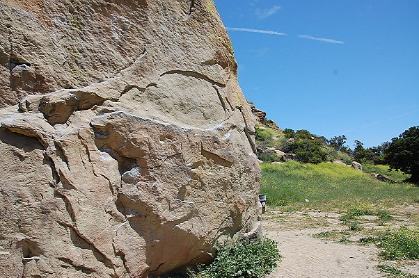DSC 0033