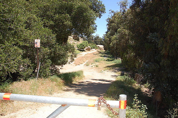 DSC 0016a