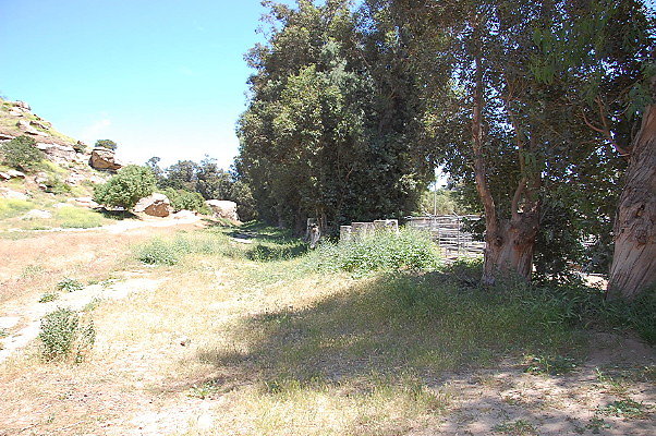 DSC 0016