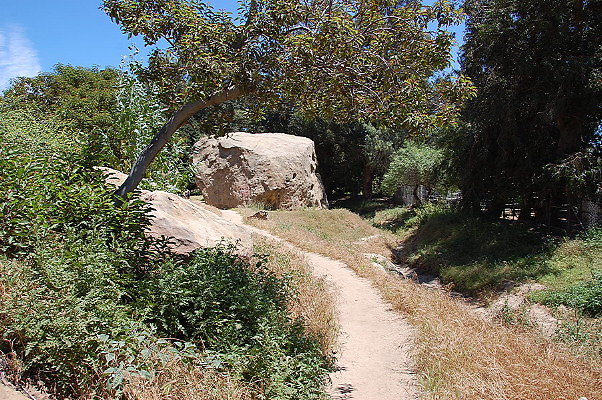 DSC 0052