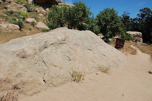 DSC 0051