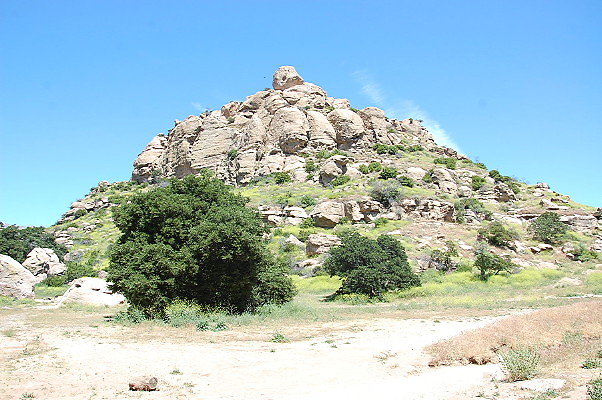 DSC 0012