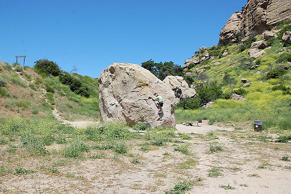 DSC 0022