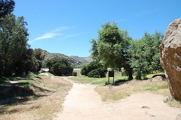 DSC 0048