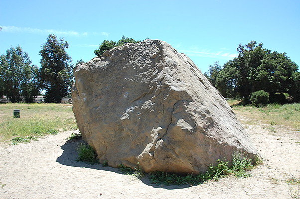 DSC 0043