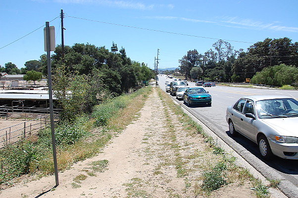 DSC 0008