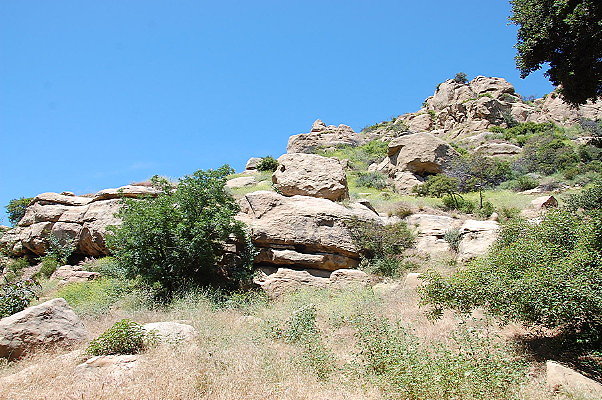 DSC 0057