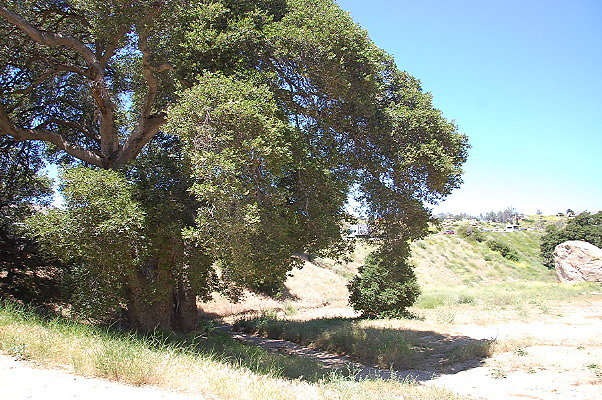 DSC 0011