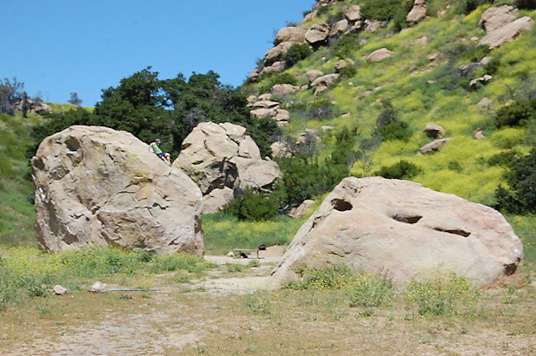 DSC 0017