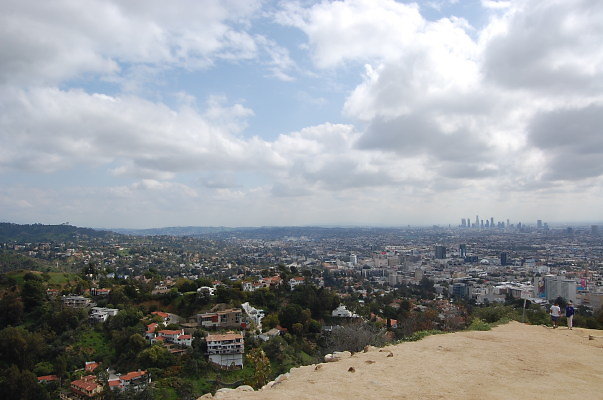 DSC 0082