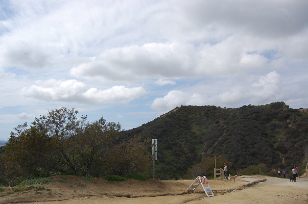 DSC 0061