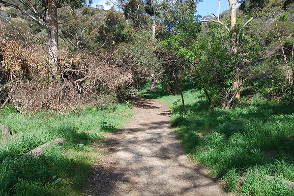 Runyon.Canyon.LA.15