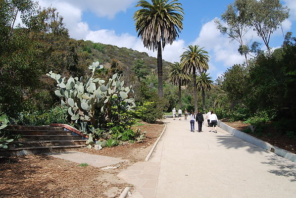 Runyon.Canyon.LA.46