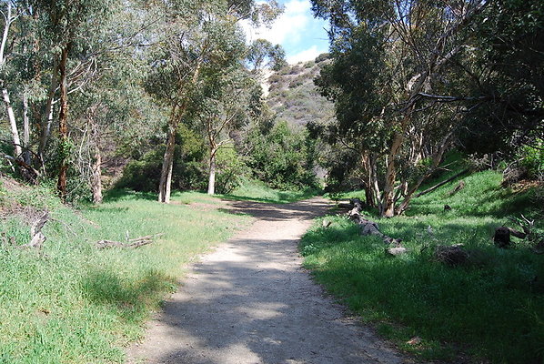 Runyon.Canyon.LA.19