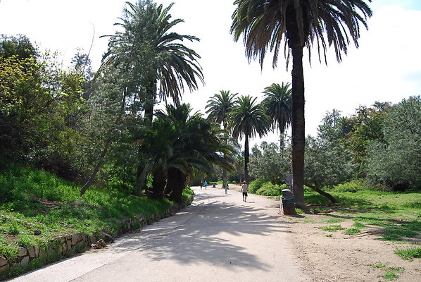 Runyon.Canyon.LA.40