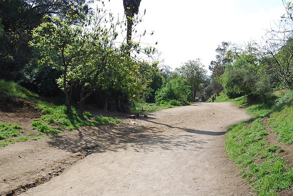 Runyon.Canyon.LA.07