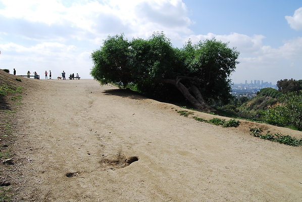 Runyon.Canyon.LA.39